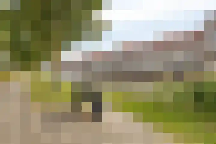 Herman Heijermanssingel 74 Middelharnis thumbnail 36