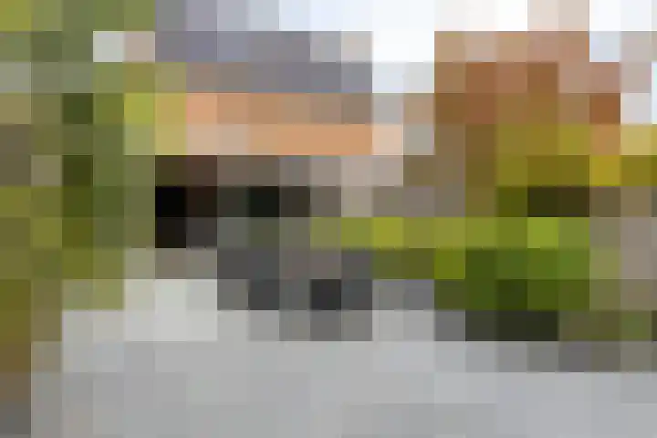 Herman Heijermanssingel 74 Middelharnis thumbnail 5