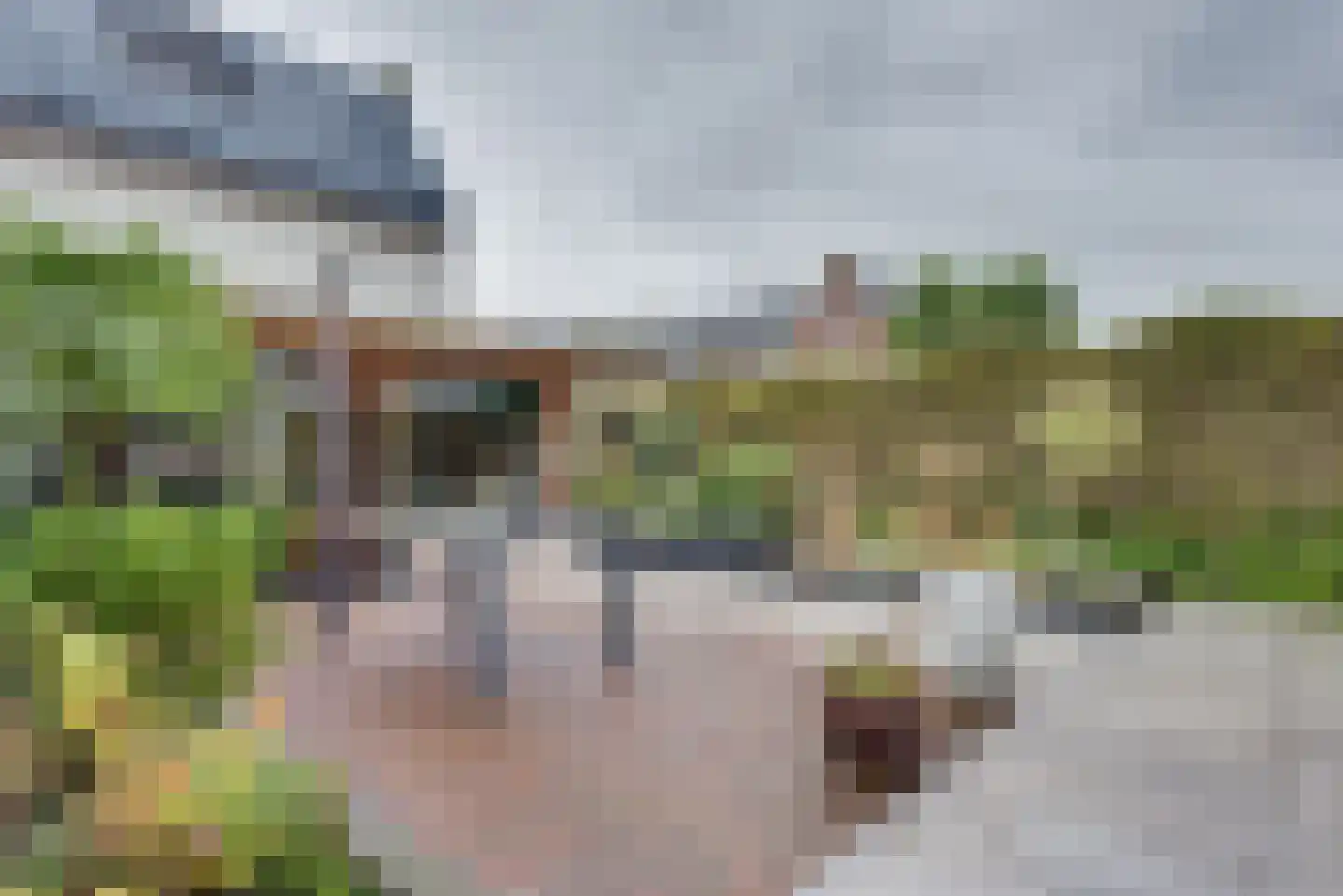Herman Heijermanssingel 86 Middelharnis thumbnail 42
