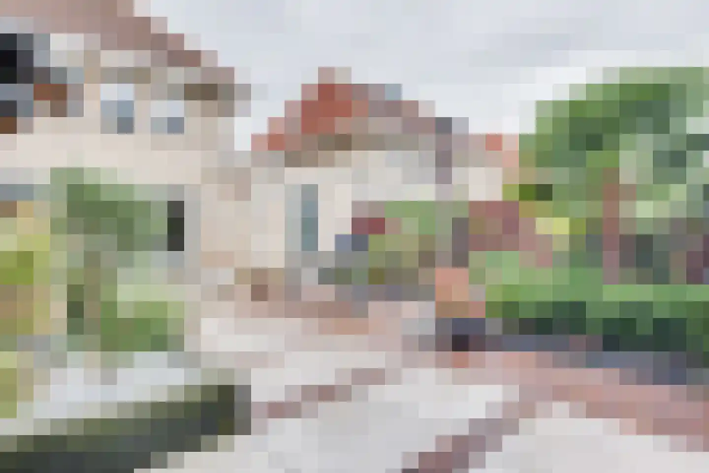 Herman Heijermanssingel 86 Middelharnis thumbnail 44