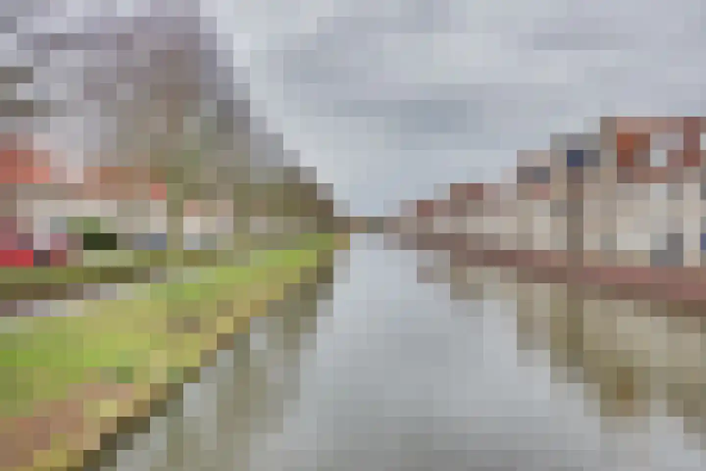 Herman Heijermanssingel 86 Middelharnis thumbnail 54