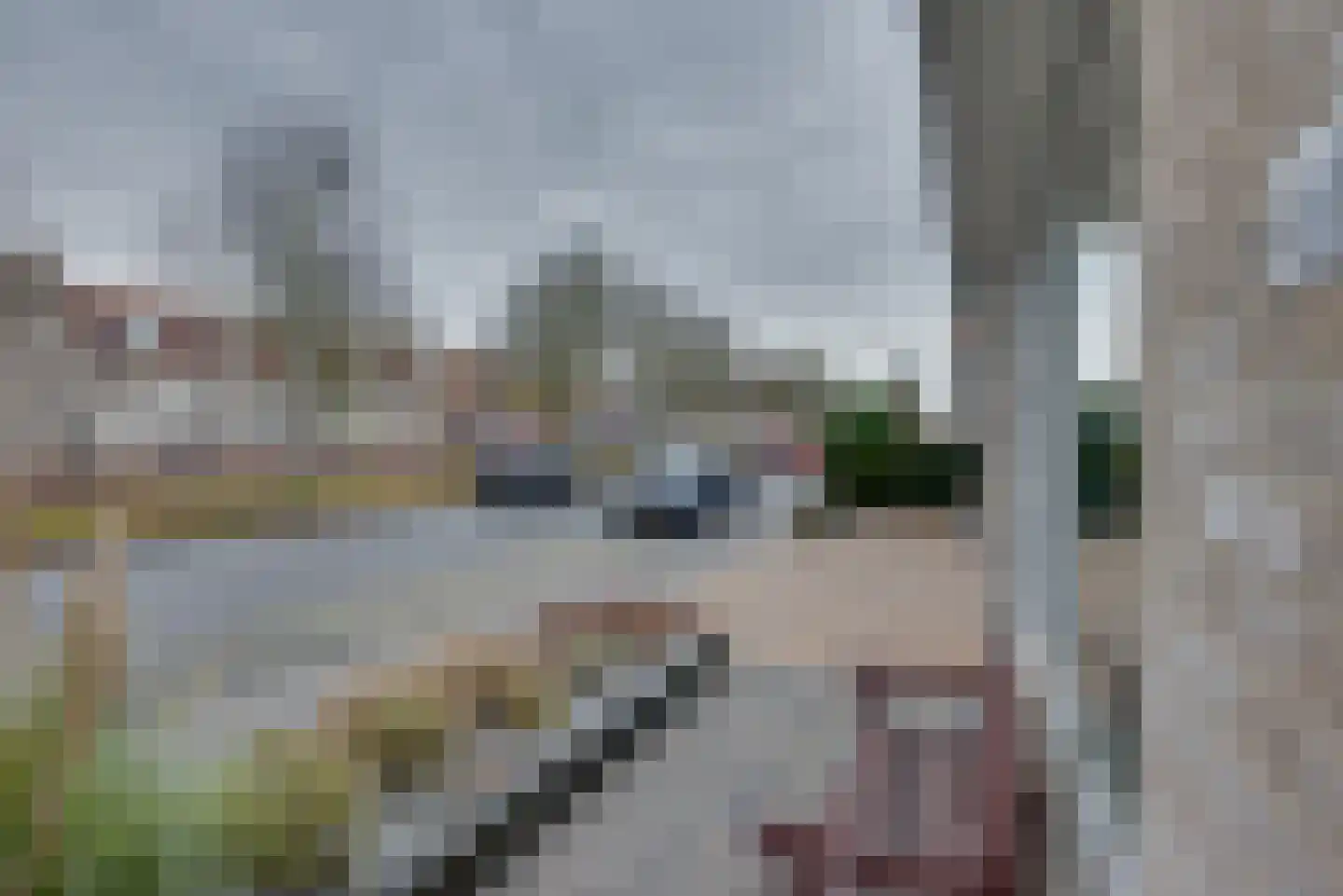 Herman Heijermanssingel 86 Middelharnis thumbnail 56