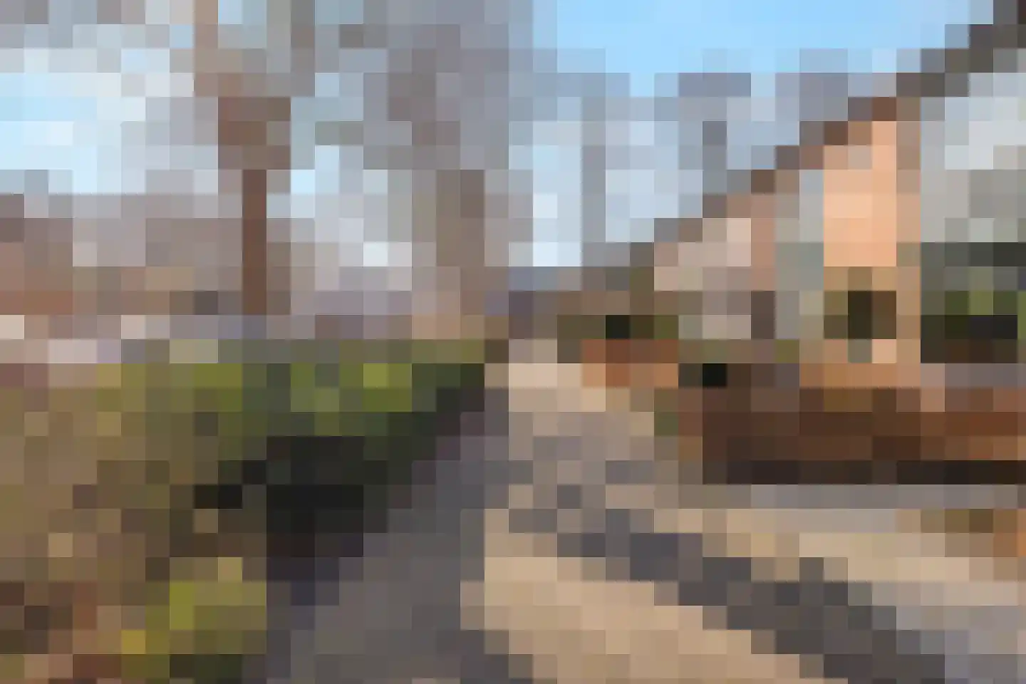 Herman Heijermansstraat 10 Vleuten thumbnail 50