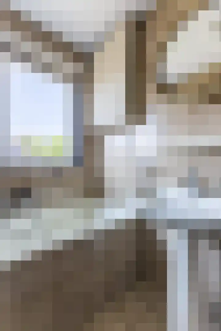 Herman Heijermansstraat 17 Wormerveer thumbnail 33
