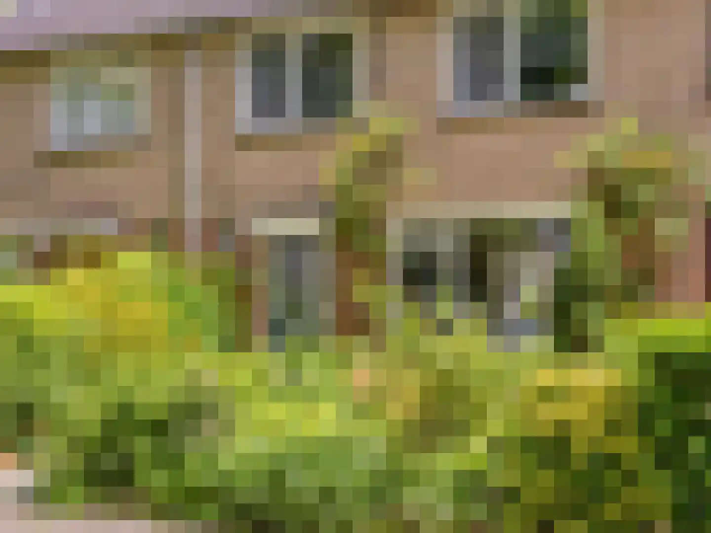 Herman Heijermansstraat 49 Vleuten thumbnail 42