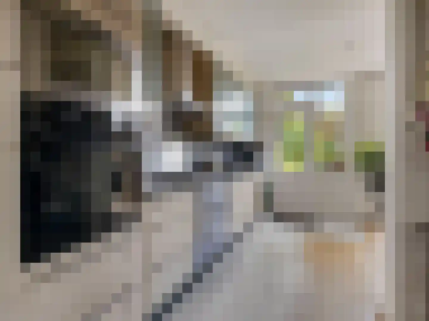 Herman Heijermansstraat 49 Vleuten thumbnail 9