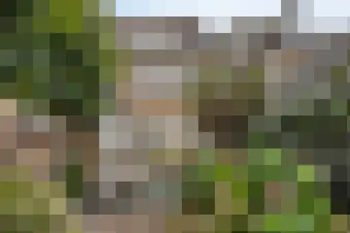 Herman Heijermansstraat 5 Wormerveer thumbnail 32