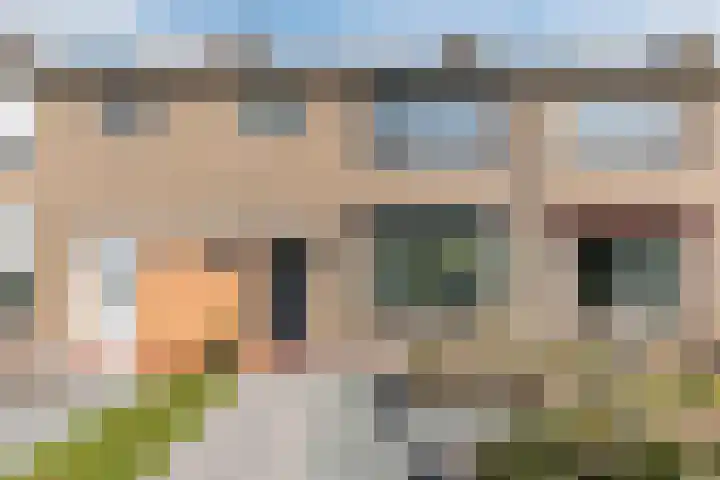 Herman Heijermansstraat 8 Terneuzen thumbnail 4