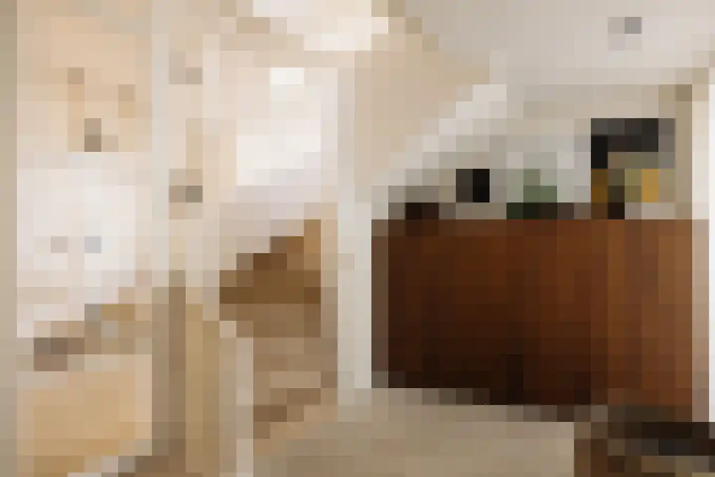 Herman Heijermansweg 3 Amsterdam thumbnail 10