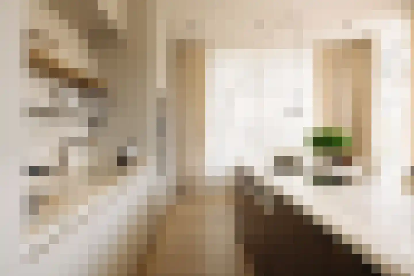 Herman Heijermansweg 3 Amsterdam thumbnail 15