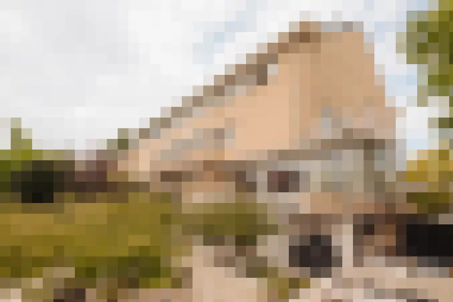 Herman Heijermansweg 3 Amsterdam thumbnail 25