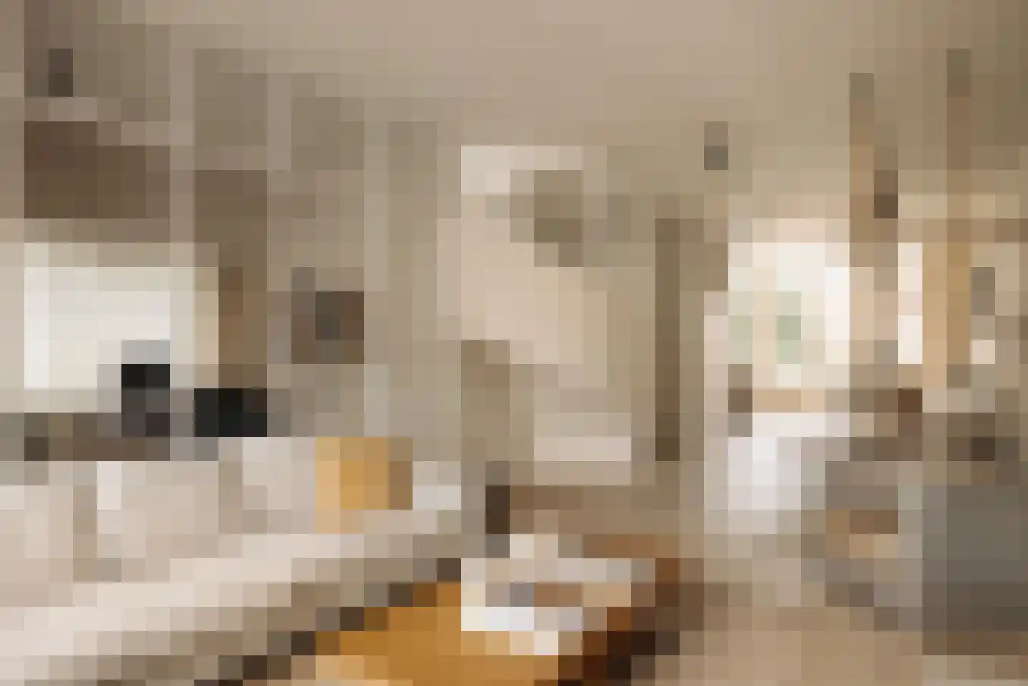 Herman Heijermansweg 3 Amsterdam thumbnail 9