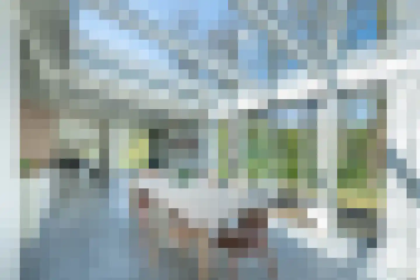 Herman Heijermansweg 6 Zandvoort thumbnail 14