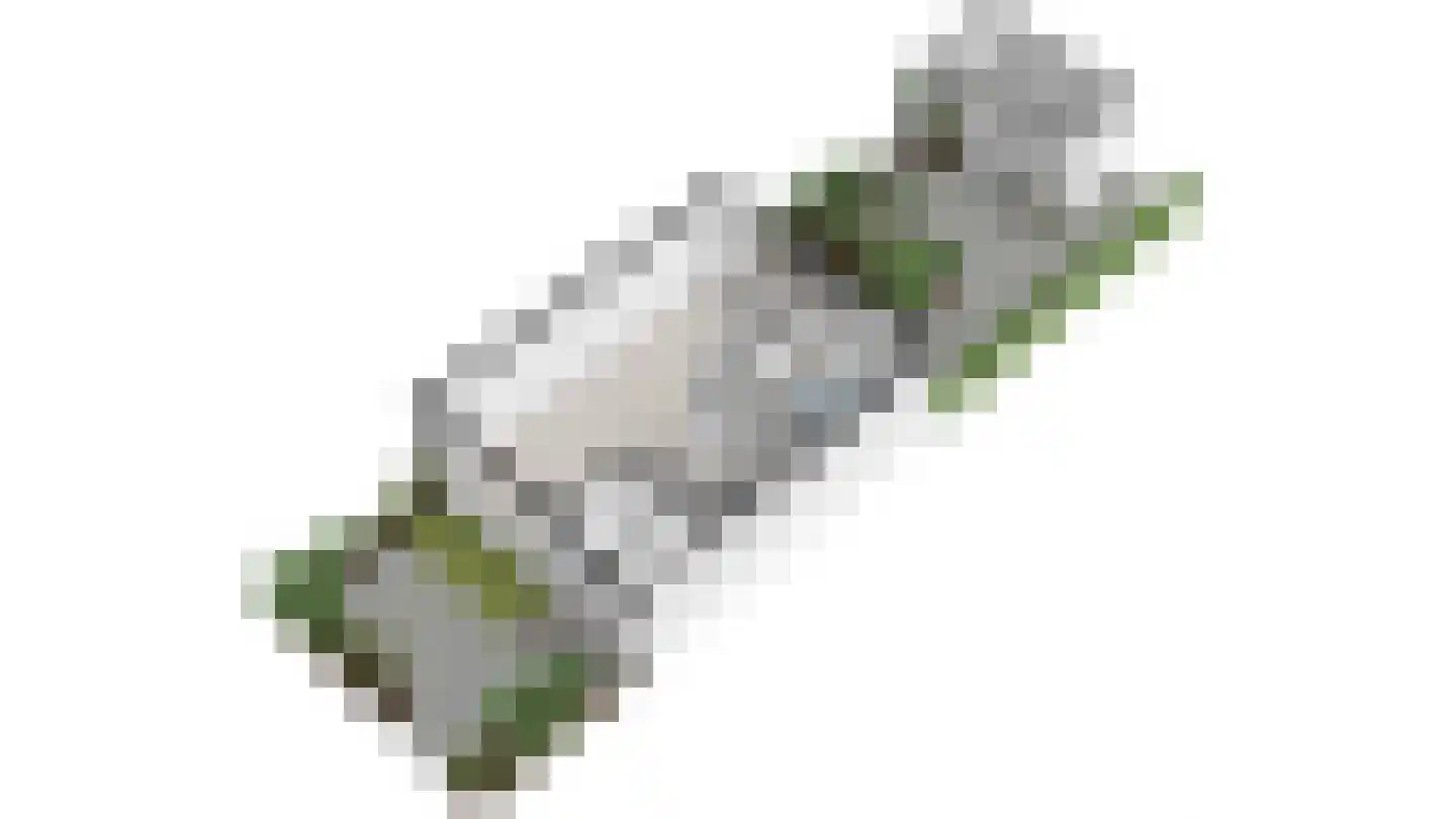 Herman Heyermanslaan 3 Delft thumbnail 40