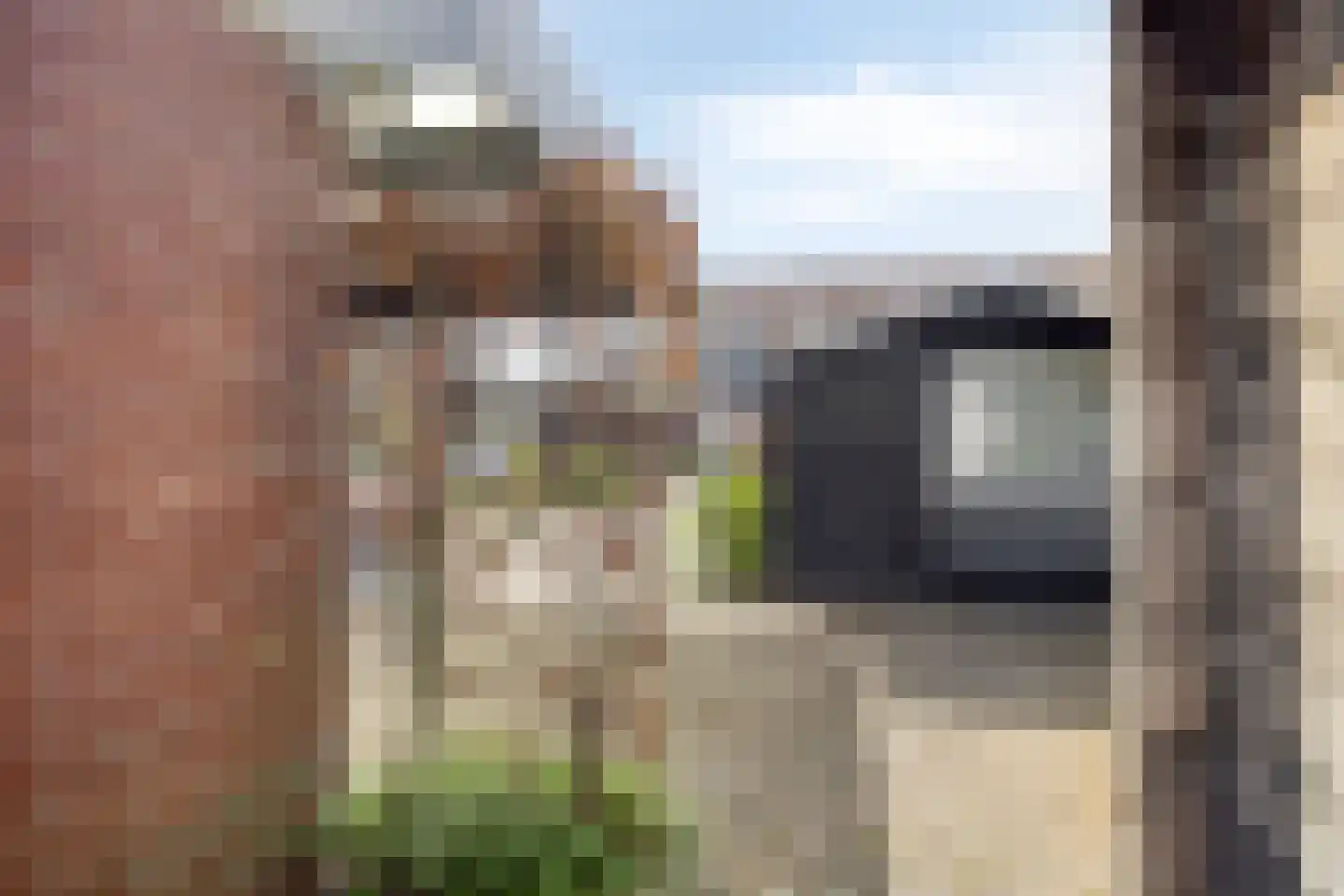 Herman Kampmanstraat 28 Hellendoorn thumbnail 35