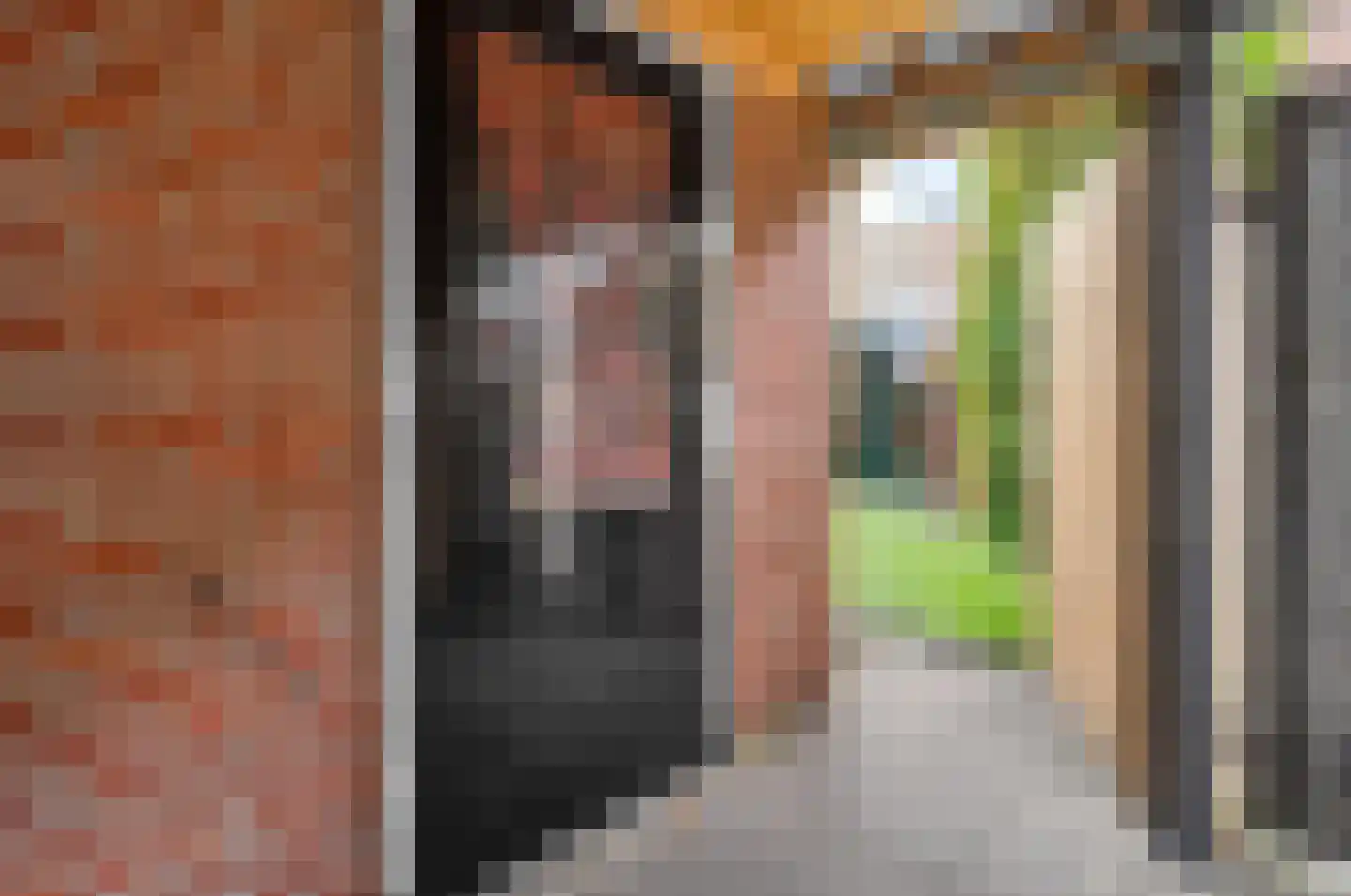Herman Kampmanstraat 54 Hellendoorn thumbnail 37