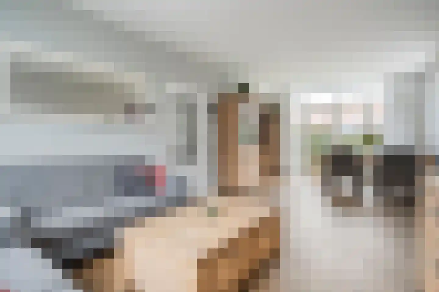Herman Kampmanstraat 54 Hellendoorn thumbnail 8