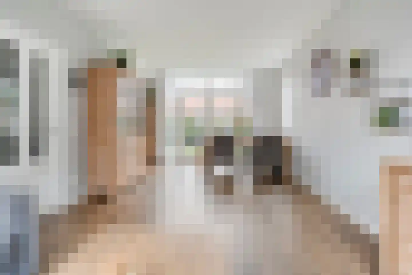 Herman Kampmanstraat 54 Hellendoorn thumbnail 9