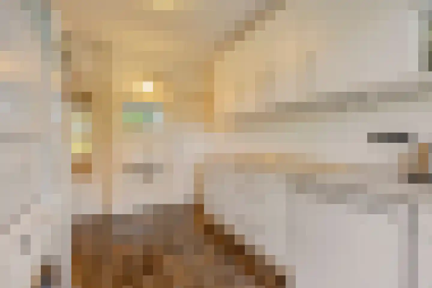 Herman Kruijderstraat 10 Eindhoven thumbnail 34