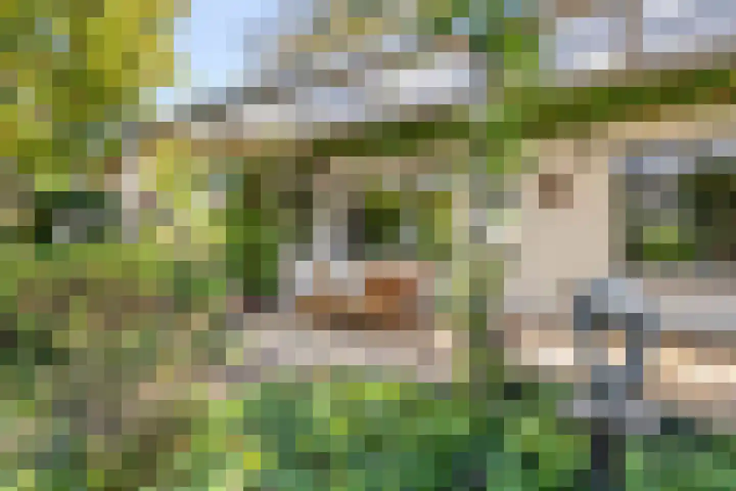 Herman Kruijderstraat 10 Eindhoven thumbnail 62