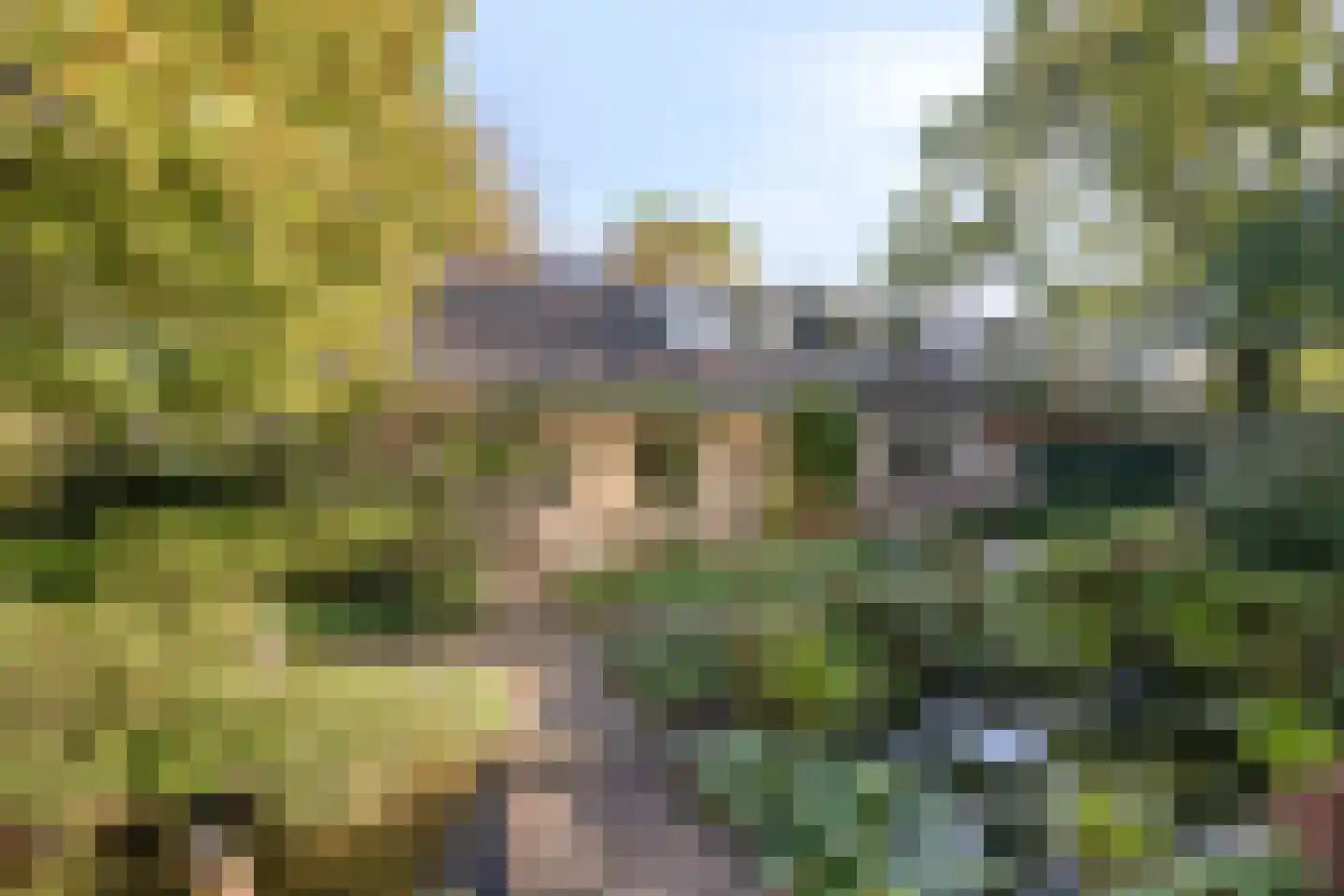 Herman Kruijderstraat 10 Eindhoven thumbnail 66