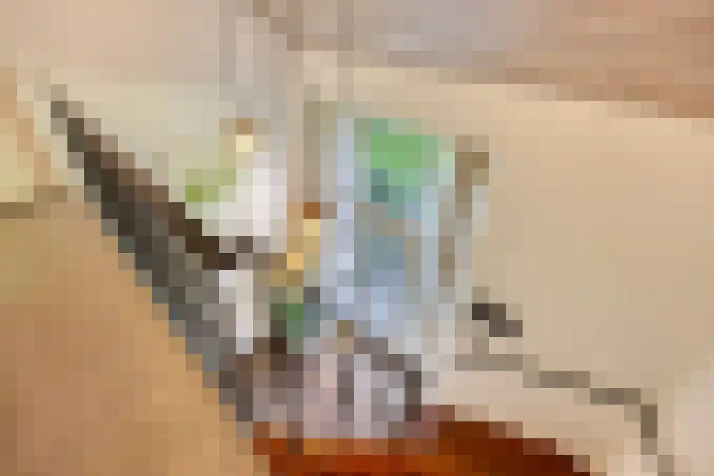 Herman Kruijderstraat 10 Eindhoven thumbnail 7