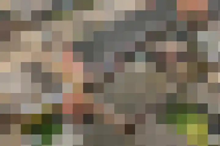 Herman Kruyderlaan 1 Almelo thumbnail 34