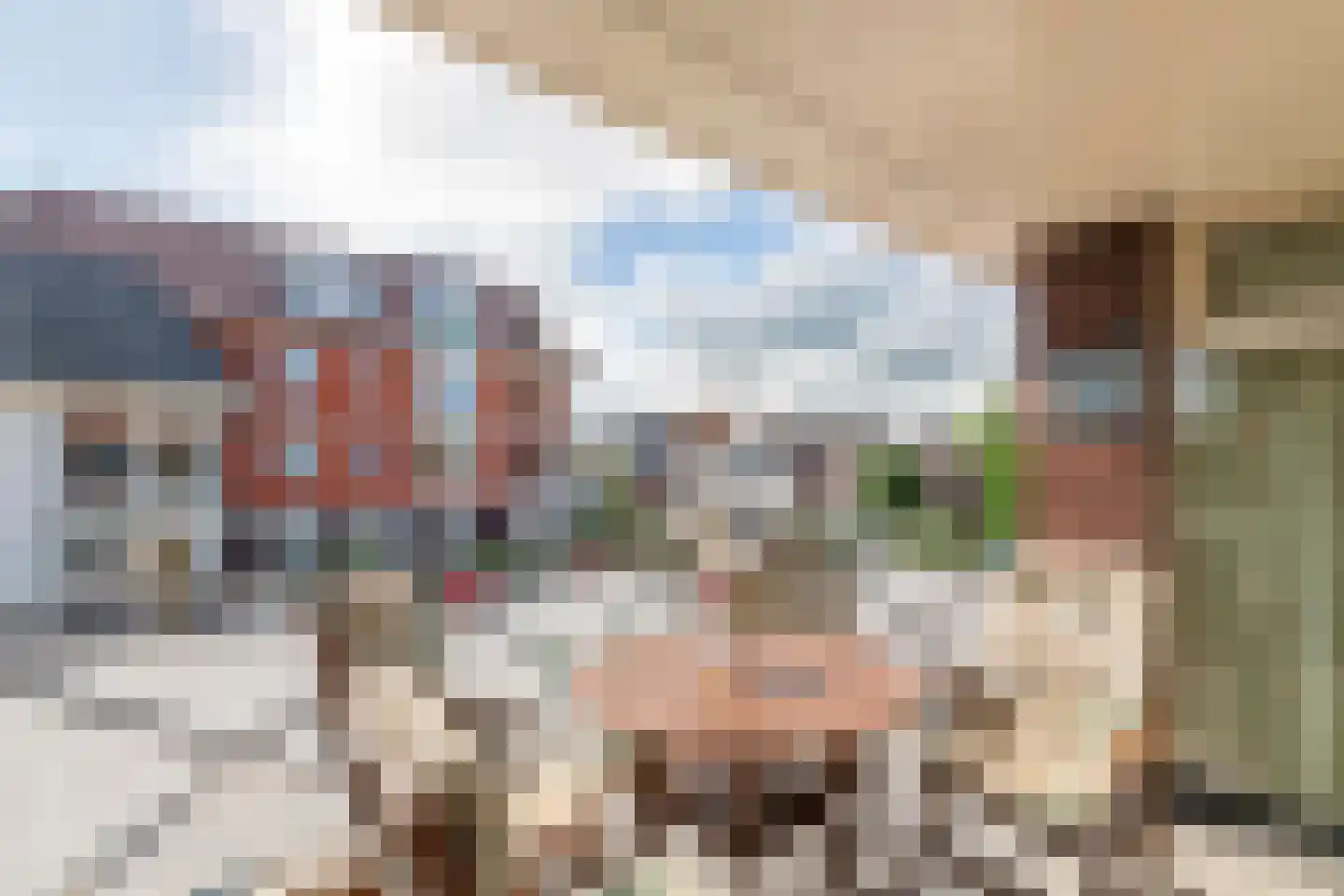 Herman Kuijkstraat 17 a Geldermalsen thumbnail 19