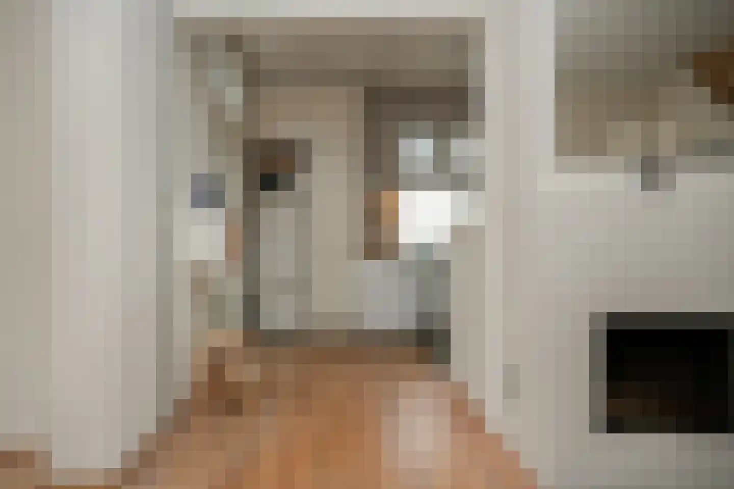 Herman Kuijkstraat 82 Geldermalsen thumbnail 13