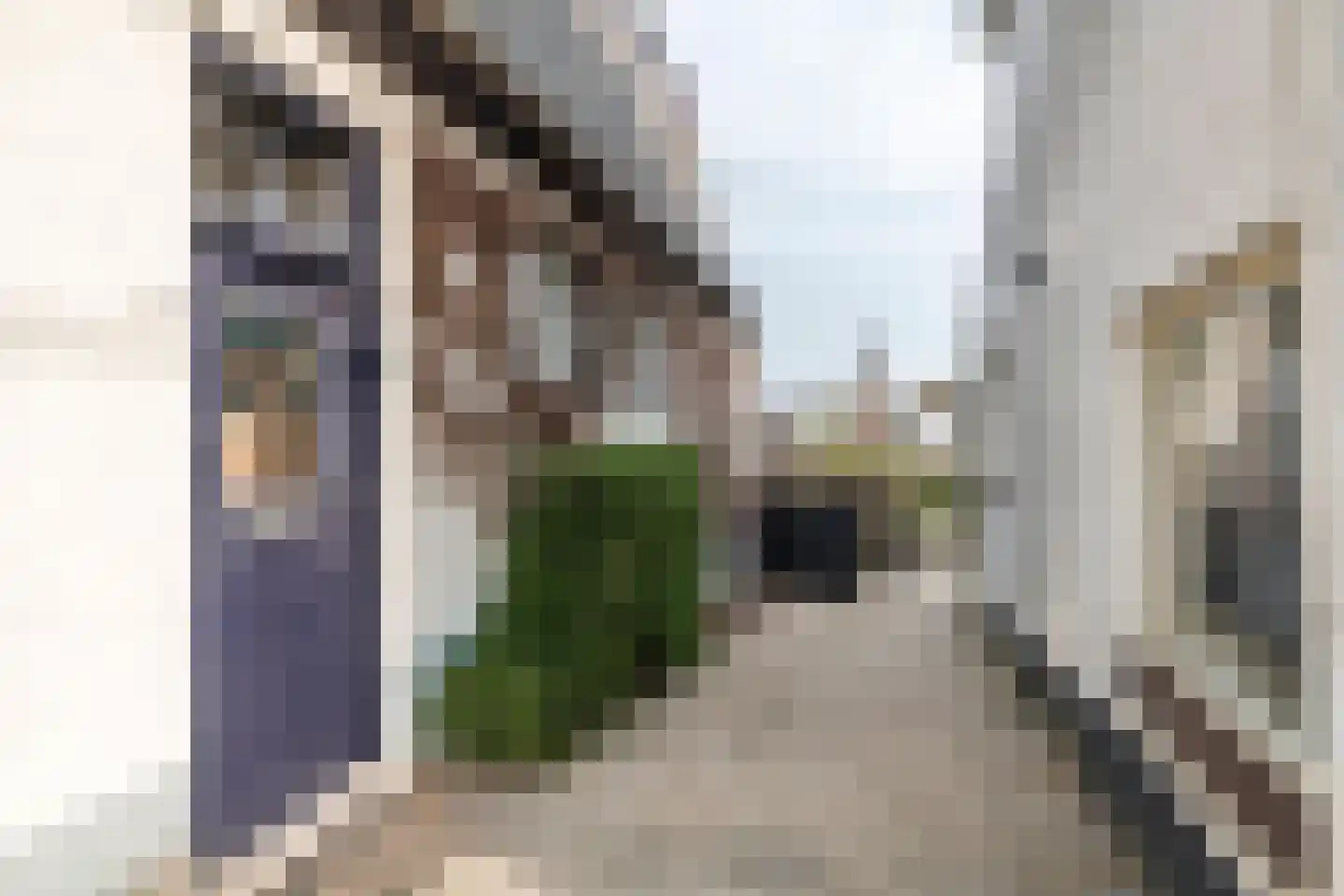 Herman Kuijkstraat 82 Geldermalsen thumbnail 4