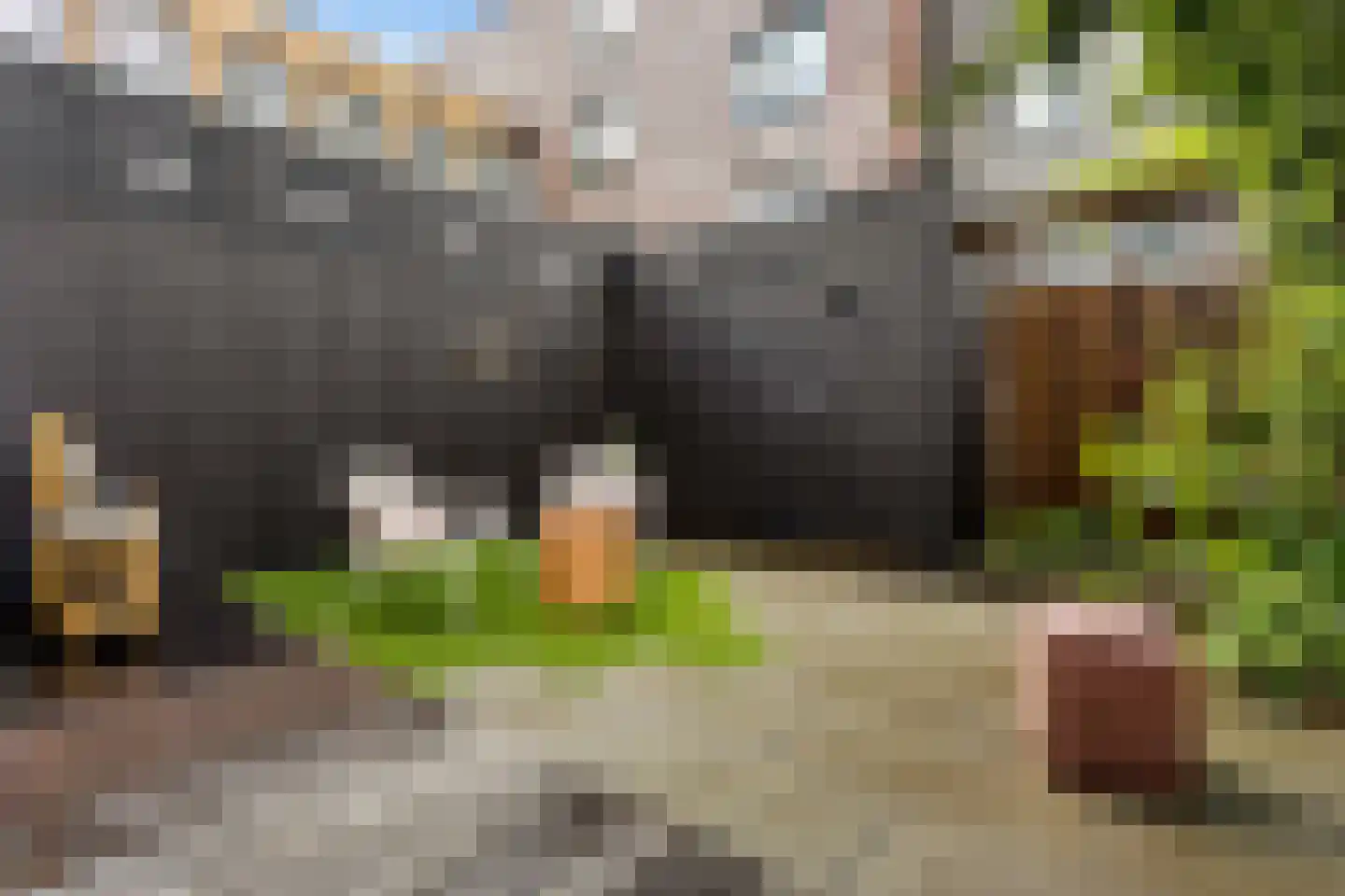 Herman Lansdaalhof 3 Hoorn thumbnail 26