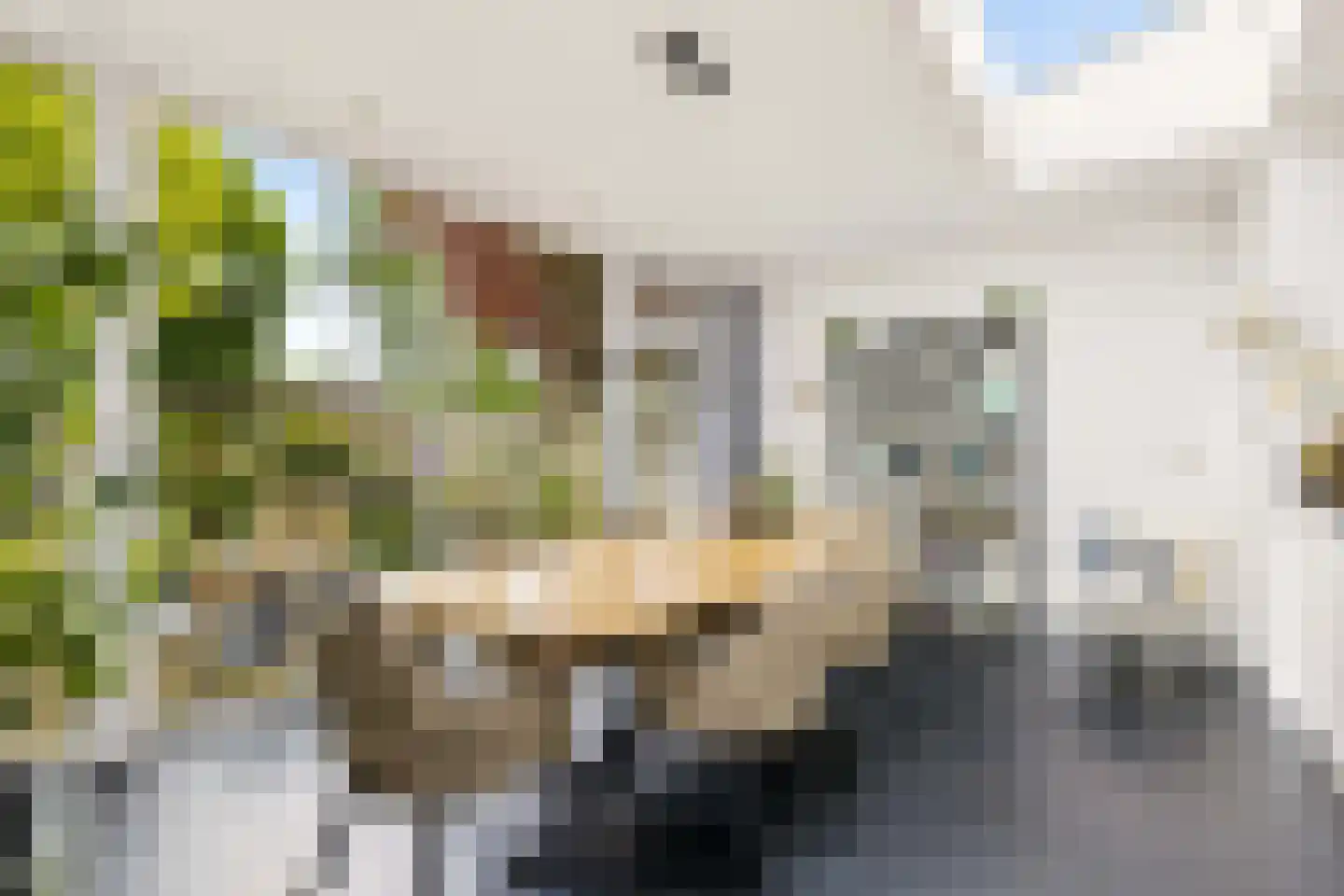 Herman Linnebankhof 19 Uden thumbnail 12