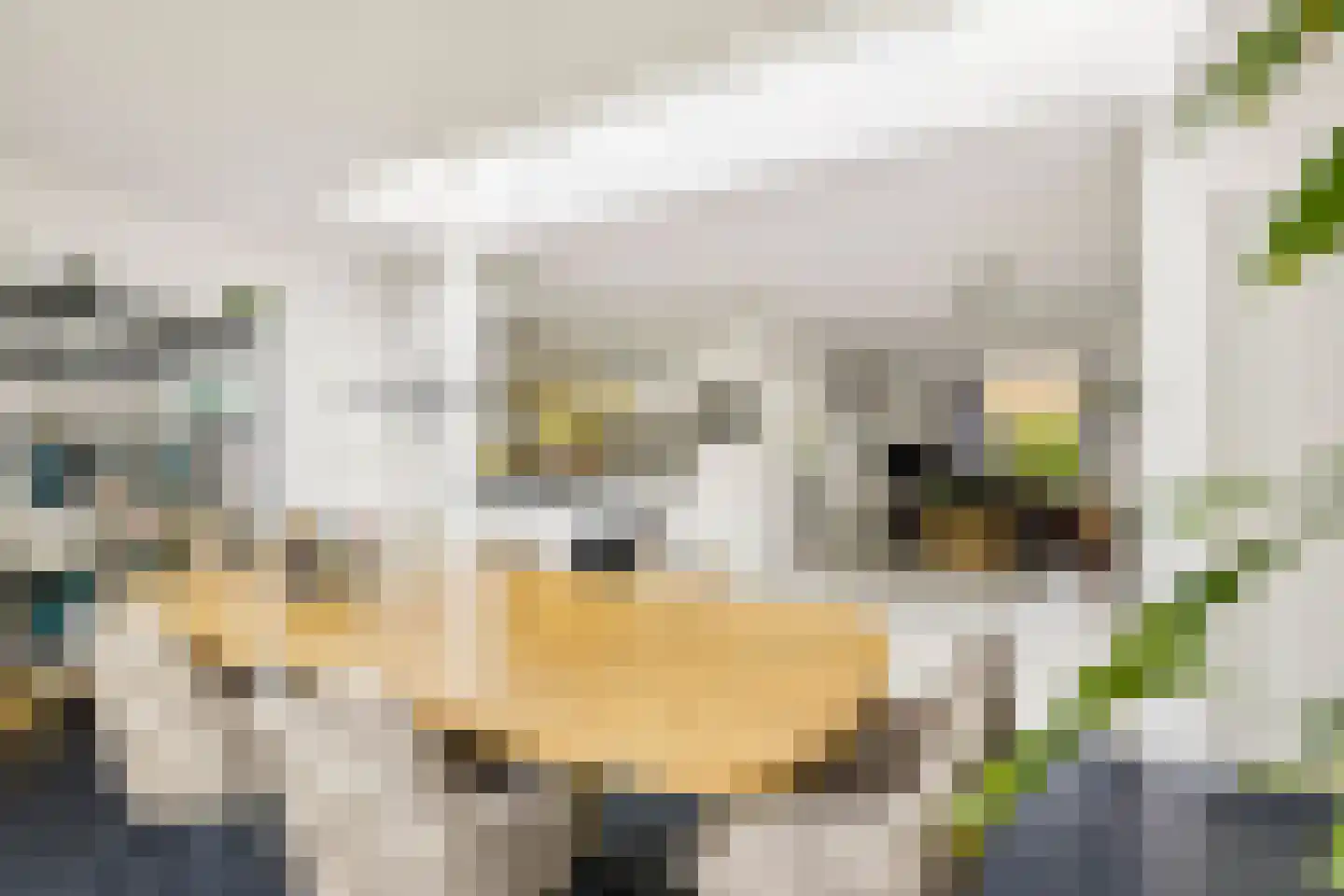 Herman Linnebankhof 19 Uden thumbnail 13