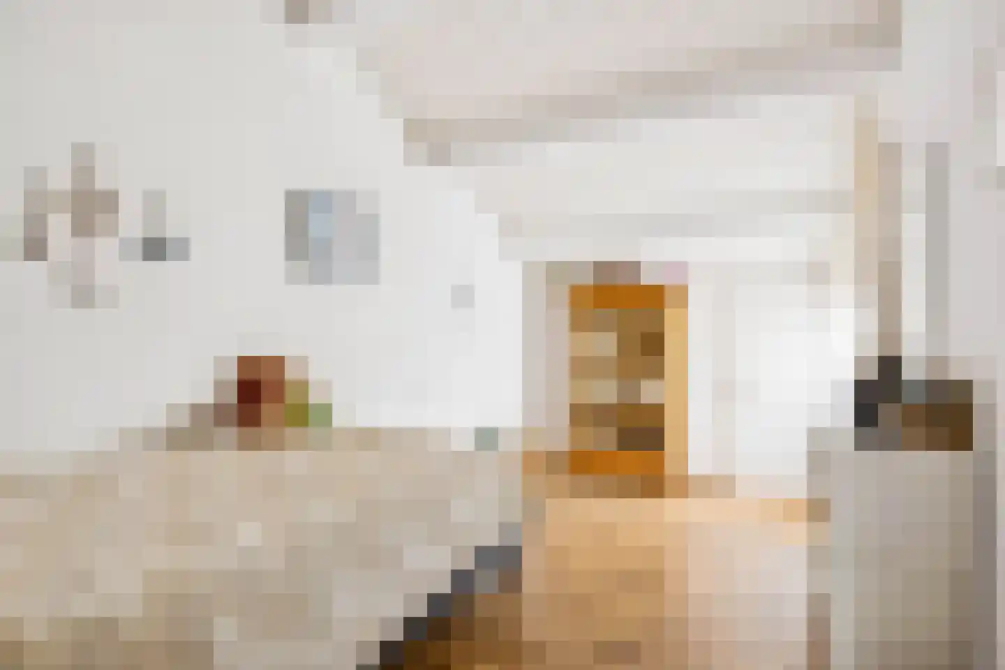 Herman Linnebankhof 19 Uden thumbnail 19