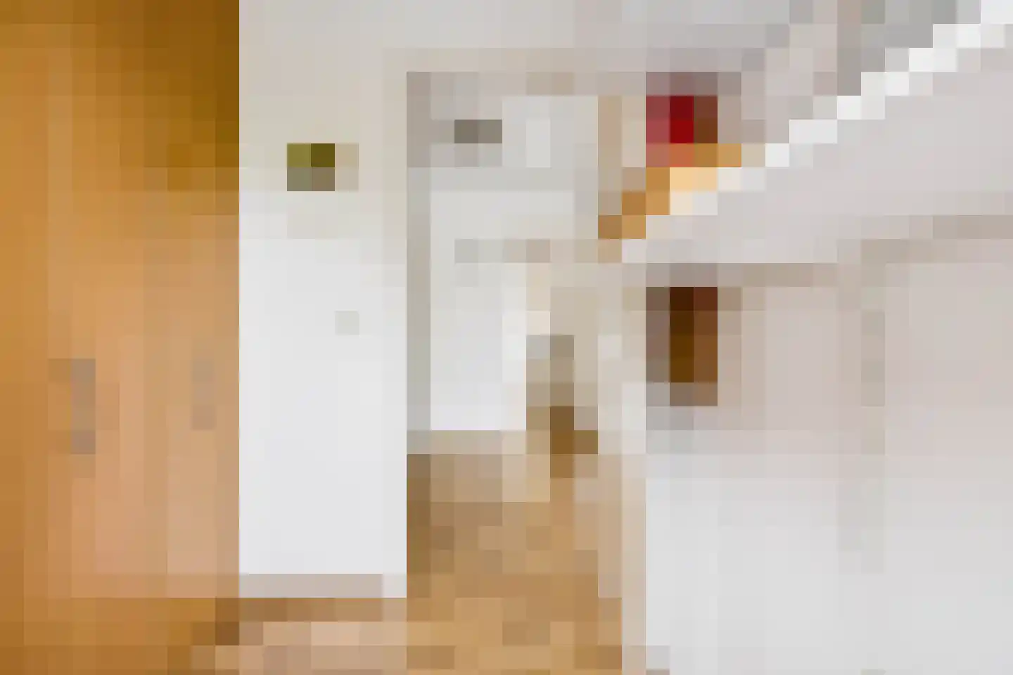 Herman Linnebankhof 19 Uden thumbnail 25