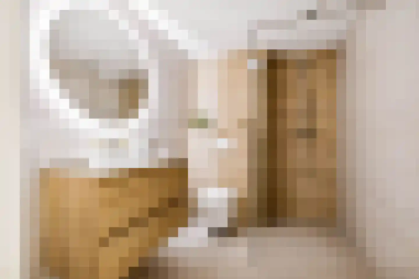 Herman Linnebankhof 19 Uden thumbnail 26