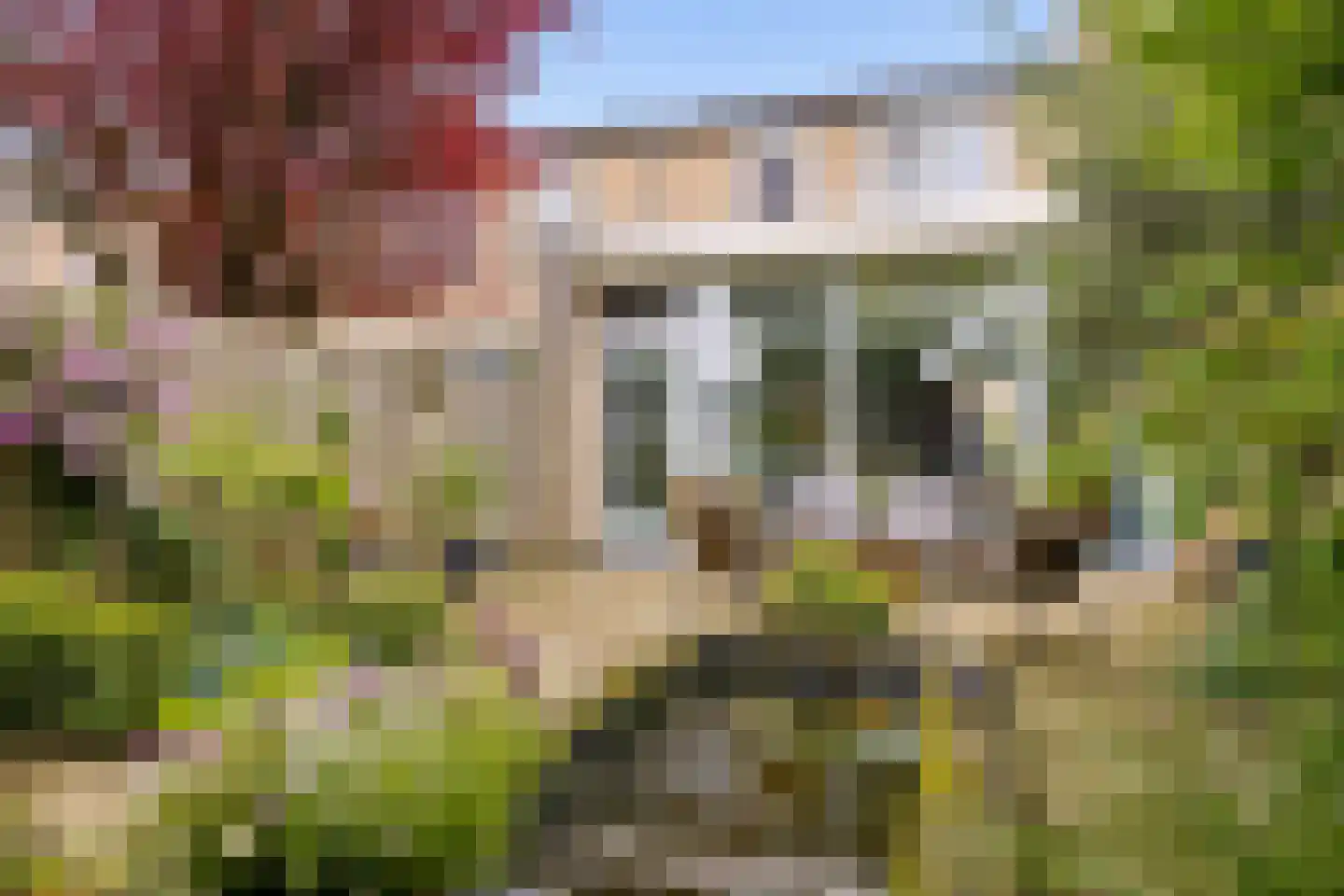 Herman Linnebankhof 19 Uden thumbnail 31