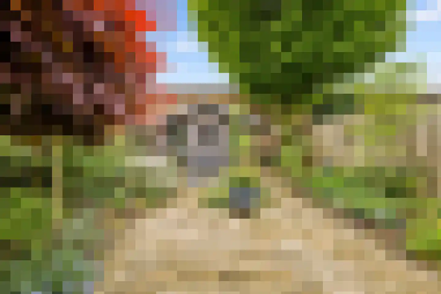 Herman Linnebankhof 19 Uden thumbnail 32