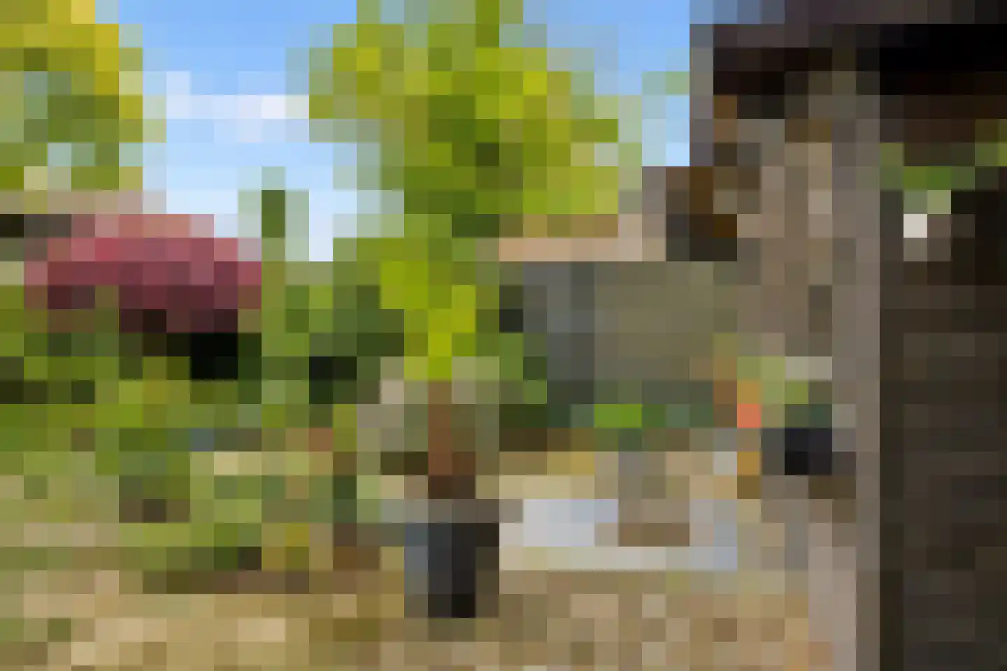 Herman Linnebankhof 19 Uden thumbnail 34