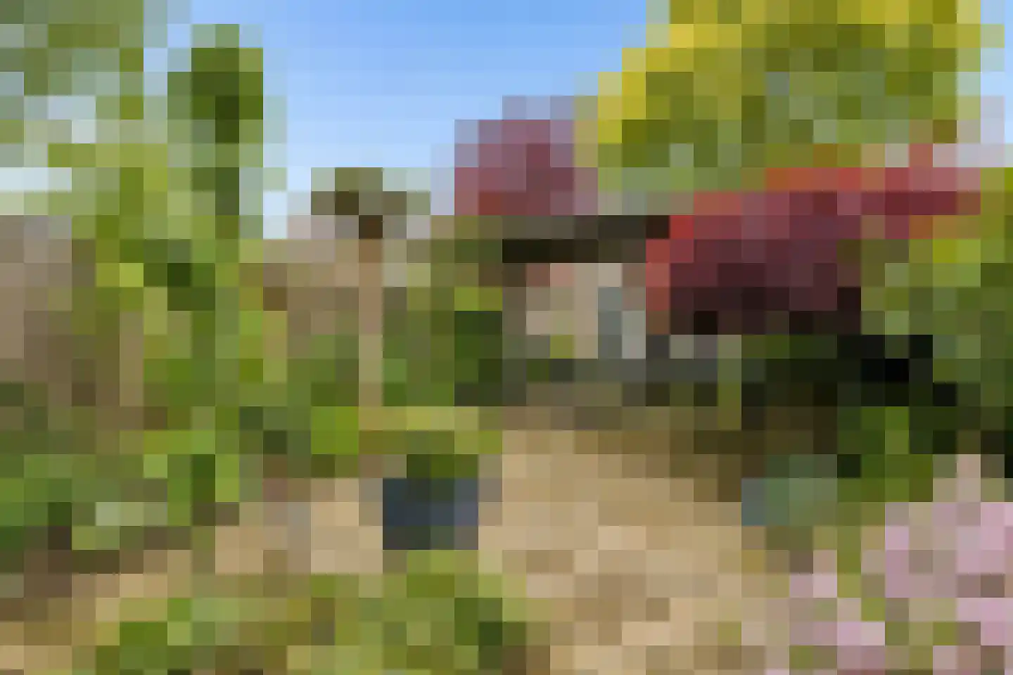 Herman Linnebankhof 19 Uden thumbnail 37
