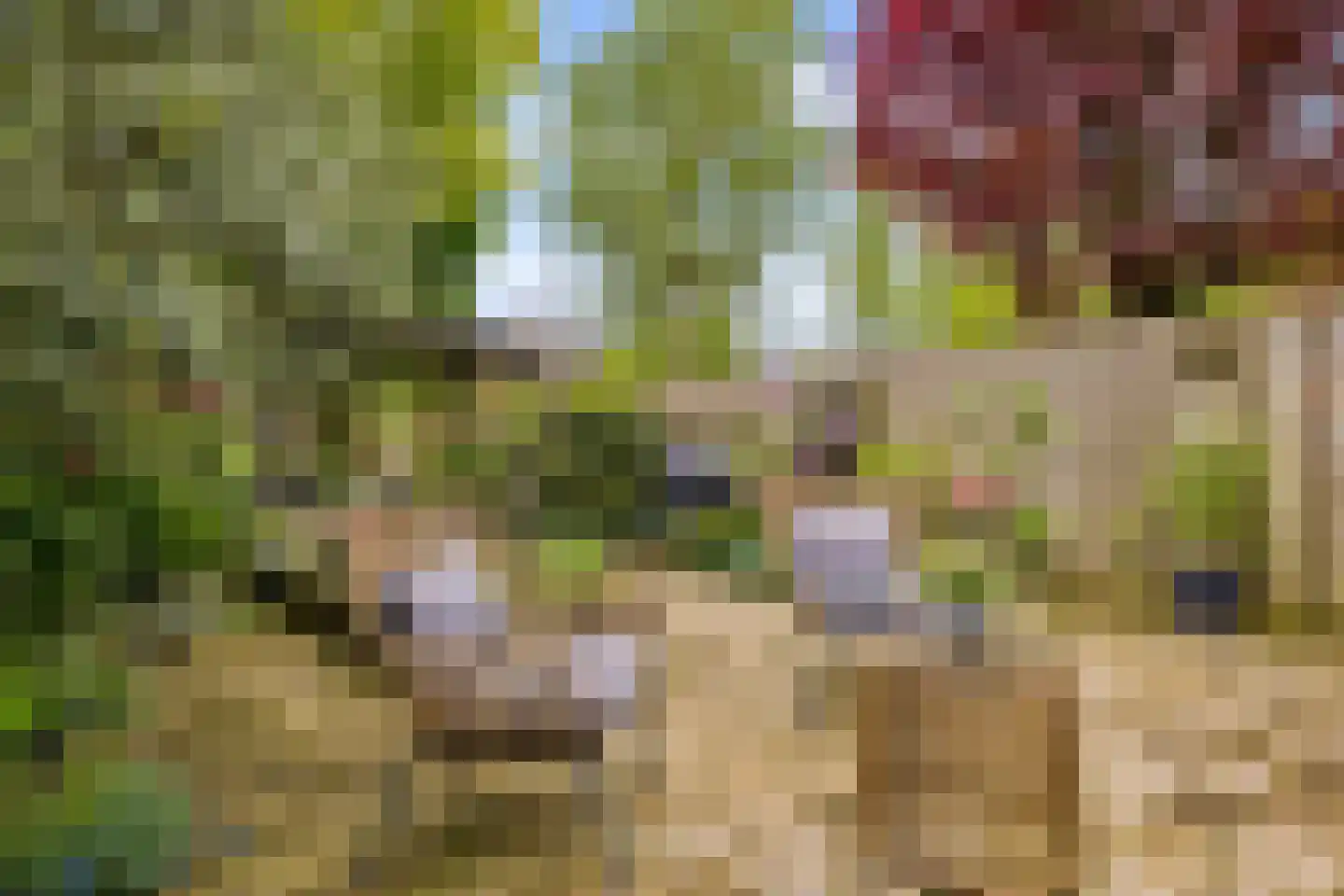 Herman Linnebankhof 19 Uden thumbnail 39