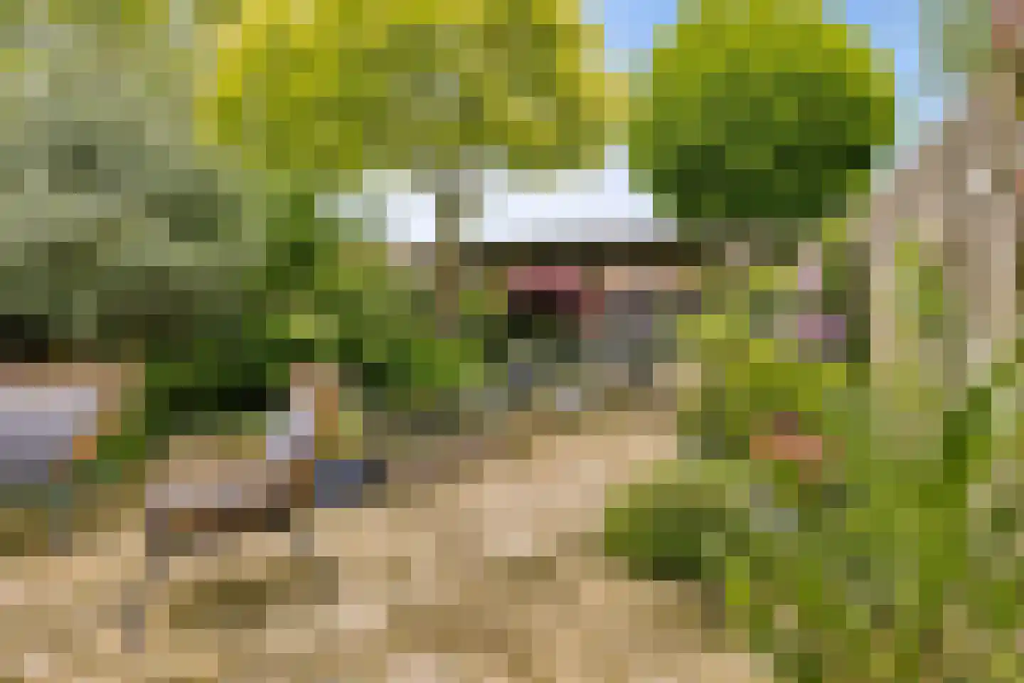 Herman Linnebankhof 19 Uden thumbnail 4