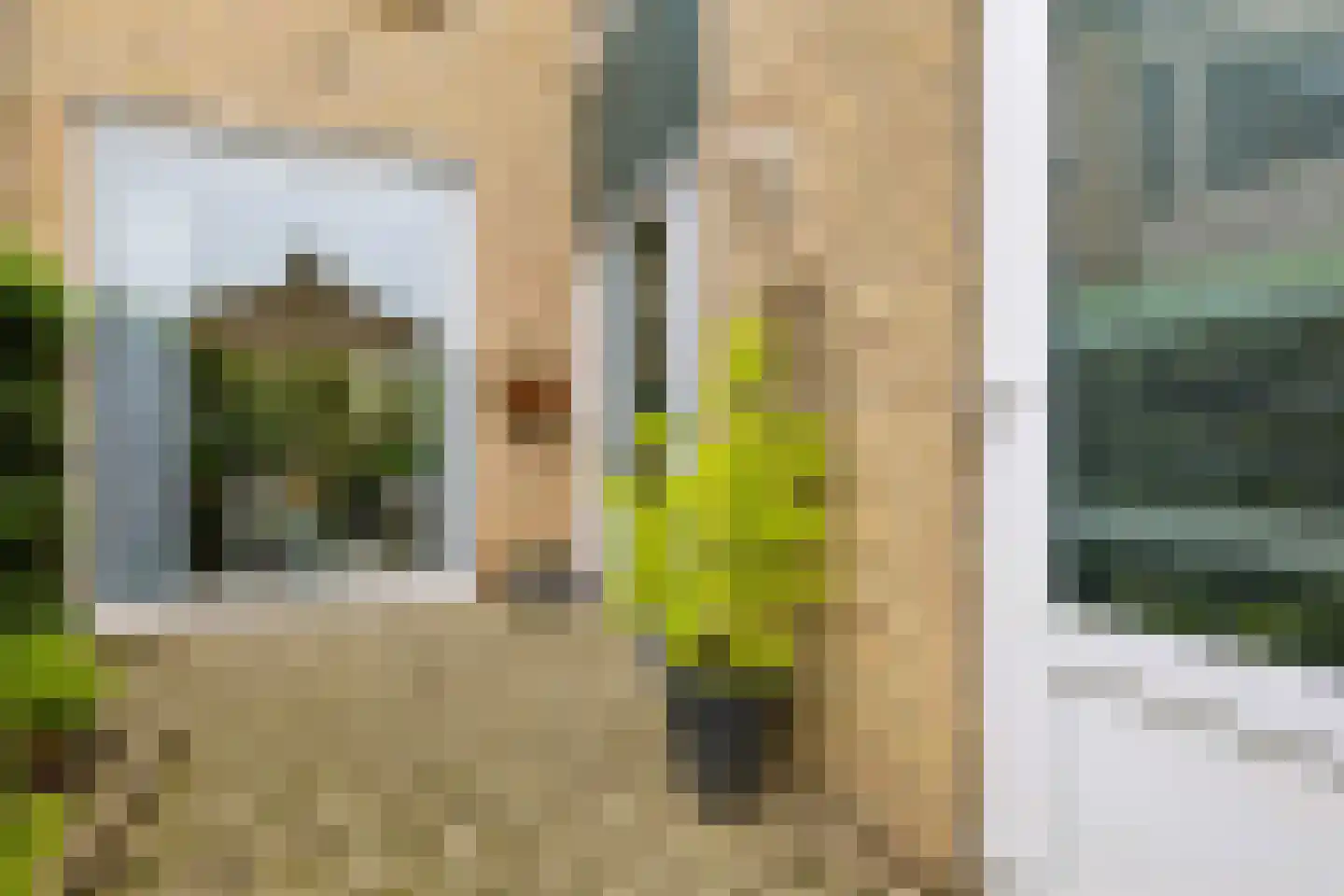 Herman Linnebankhof 19 Uden thumbnail 41