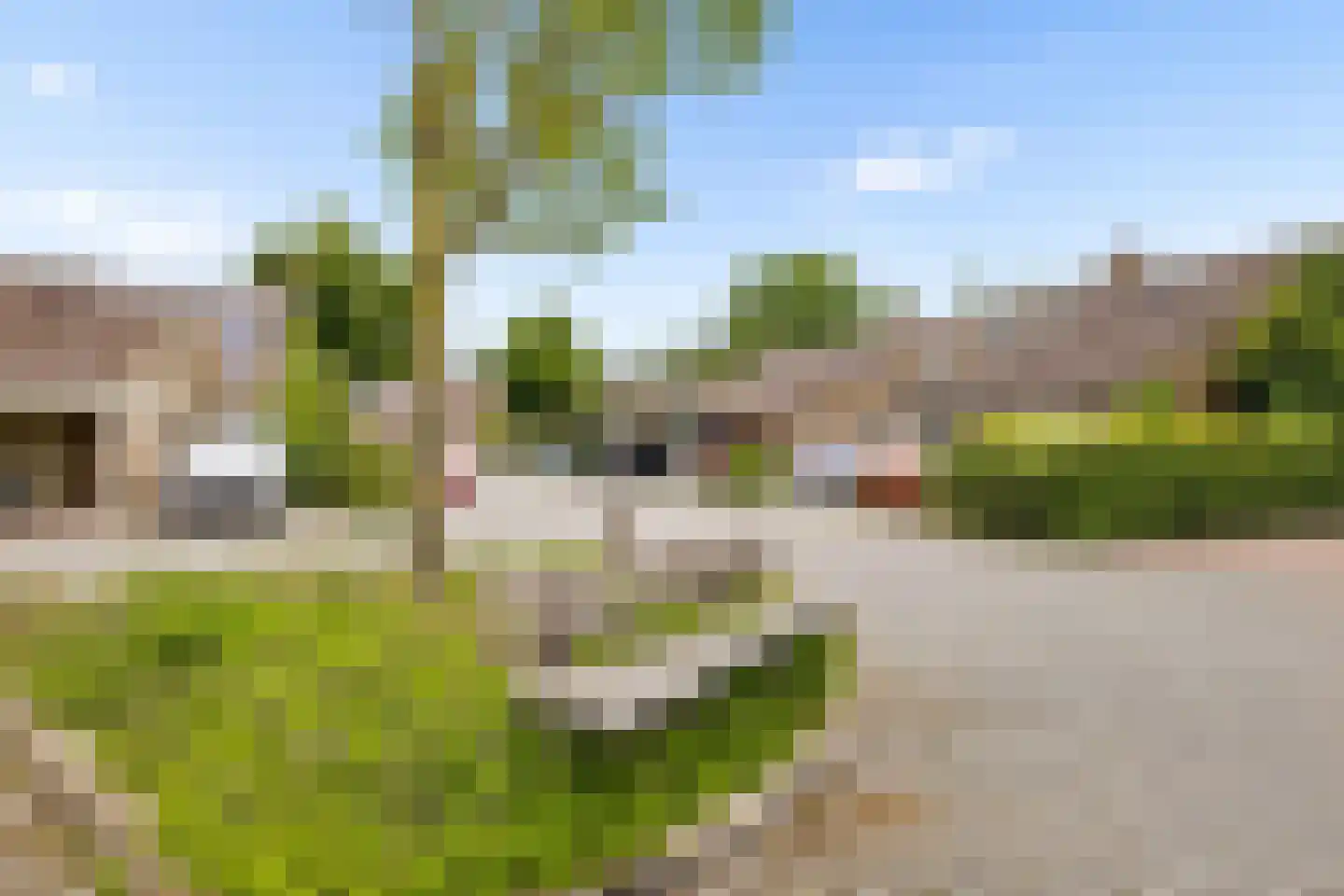 Herman Linnebankhof 19 Uden thumbnail 43