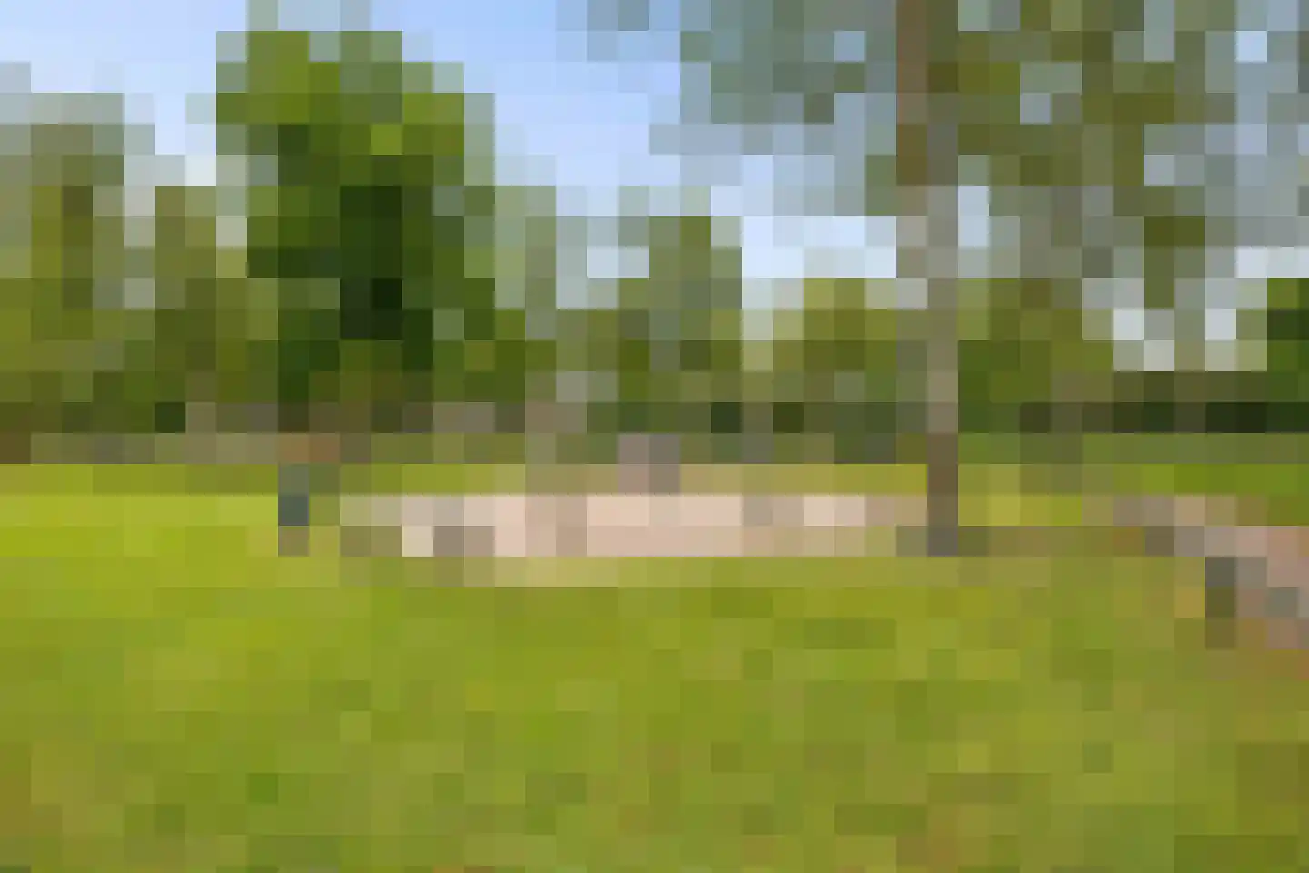 Herman Linnebankhof 19 Uden thumbnail 44
