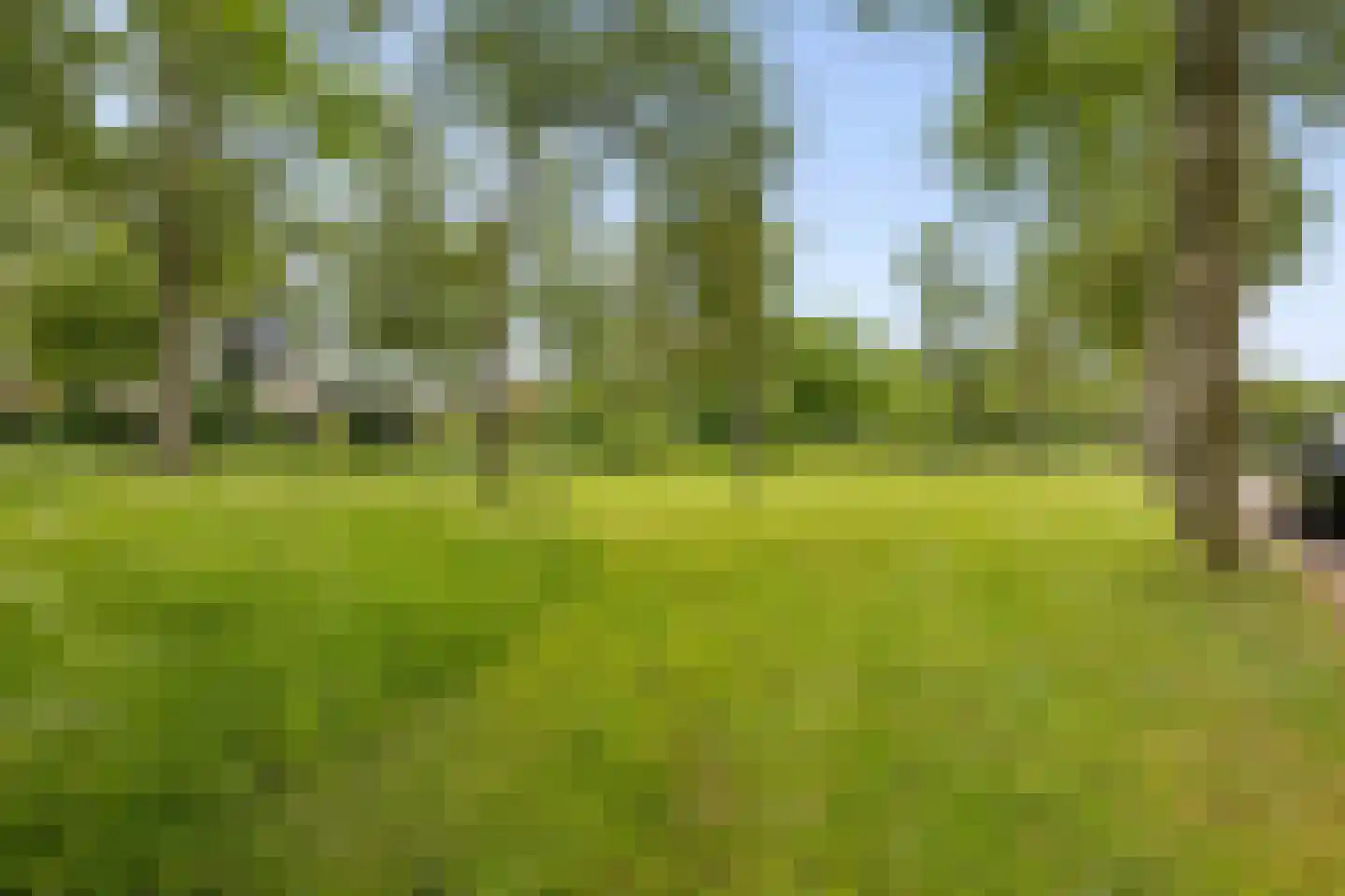 Herman Linnebankhof 19 Uden thumbnail 45