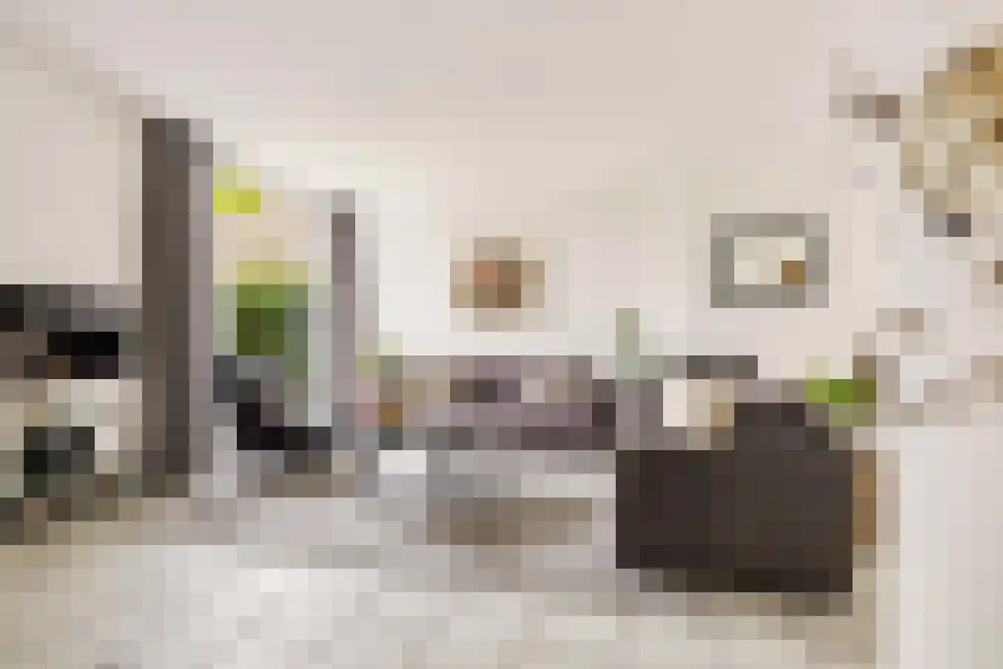 Herman Linnebankhof 19 Uden thumbnail 9