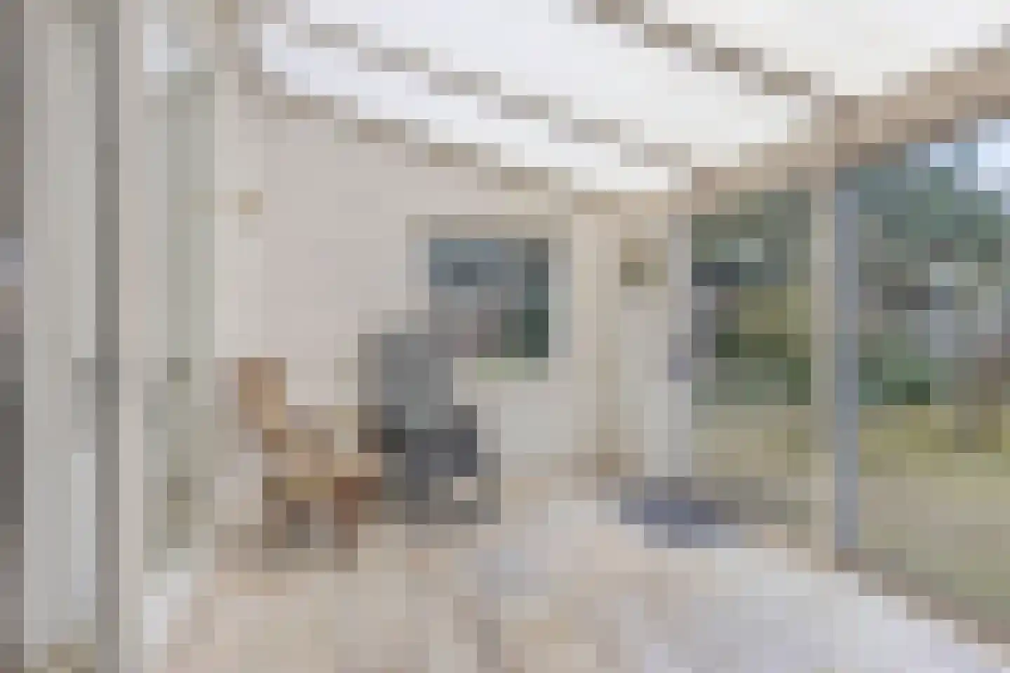 Herman Linnebankhof 26 Uden thumbnail 18