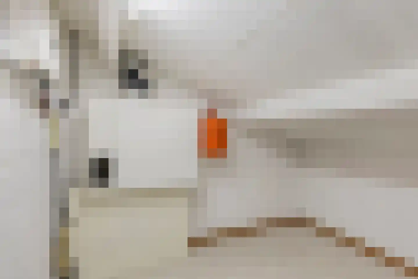 Herman Linnebankhof 26 Uden thumbnail 34