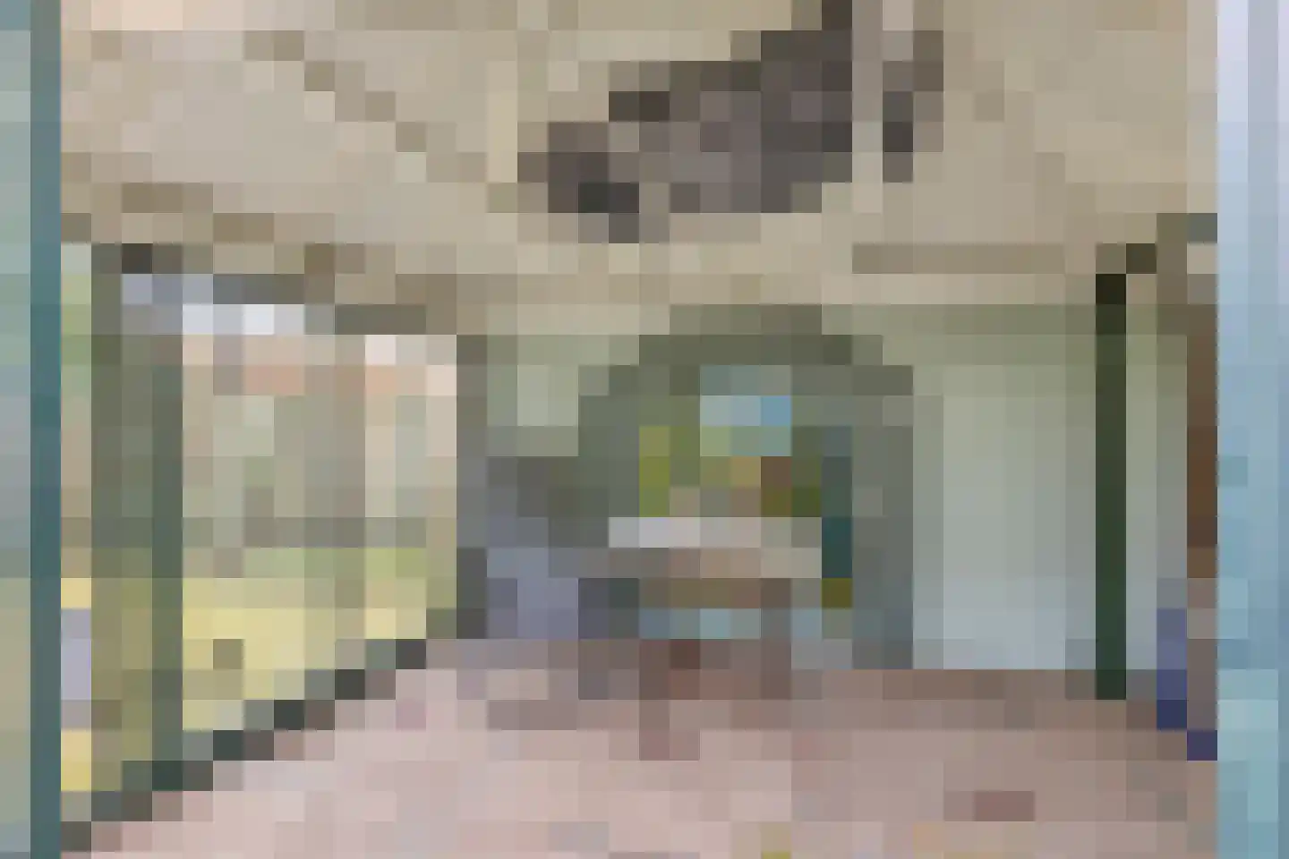Herman Linnebankhof 26 Uden thumbnail 42